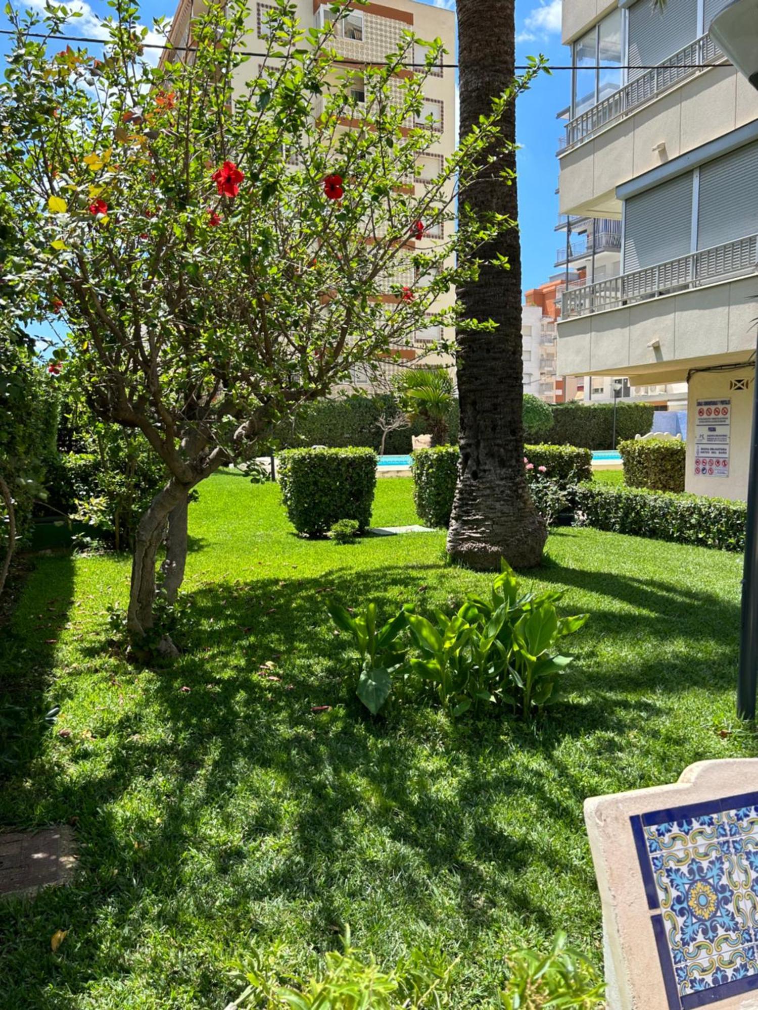 Apartamento Gandia Playa 150M Playa Con Parking Privado Y Piscina Playa de Gandía Exterior foto